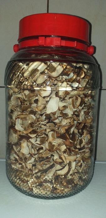 Grzyby suszone prawdziwki borowiki