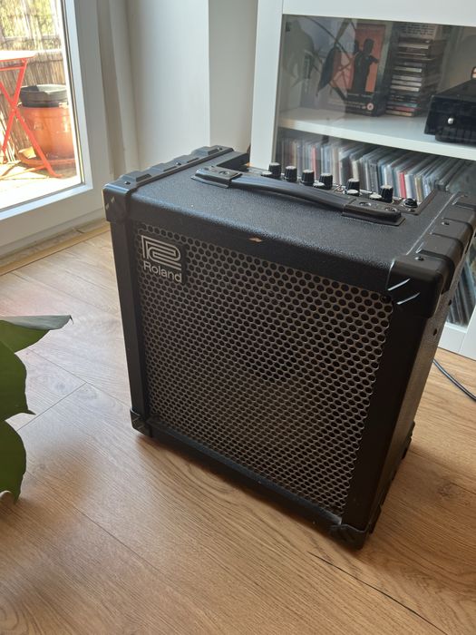 Roland Cube 60 e TC Electronic Alterego x4