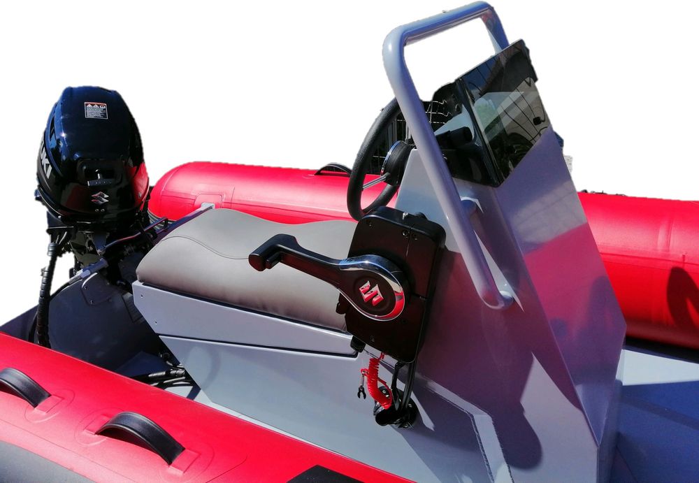RIB Dolphin 320 - SUZUKI DF 20ARS
