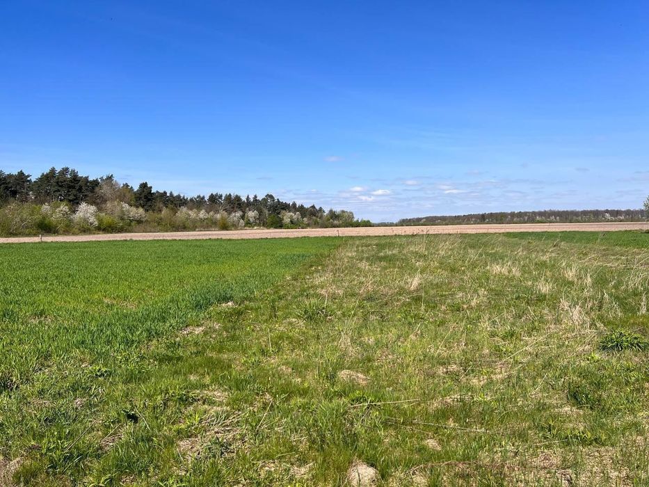 Продаж землі поруч лісу 9,3 соток, Воля-Бартатівська БЕЗ КОМІСІЇ