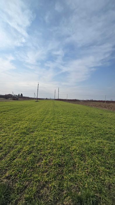 Ділянка у передмісті Ужгороду с. Баранинці