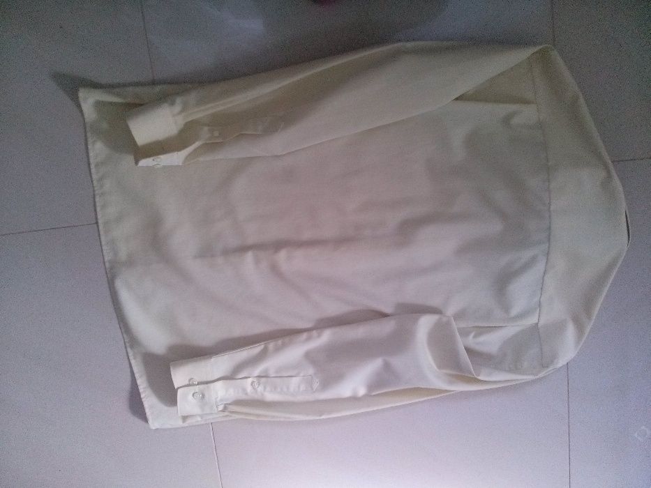 OLYMP luxor 40 L/XL