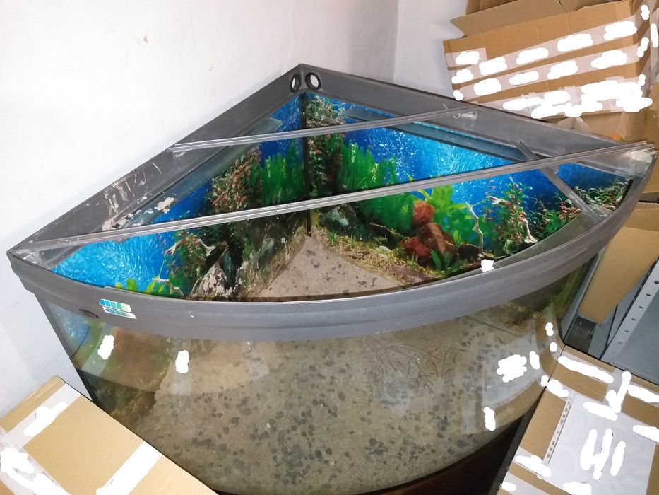 Akwarium terrarium narożne