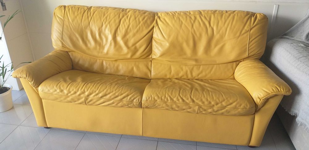 SOFÁ  EM PELE ,com 2 metros comprimento .