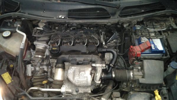 Motor completo FORD Fiesta VI (CB1, CCN)