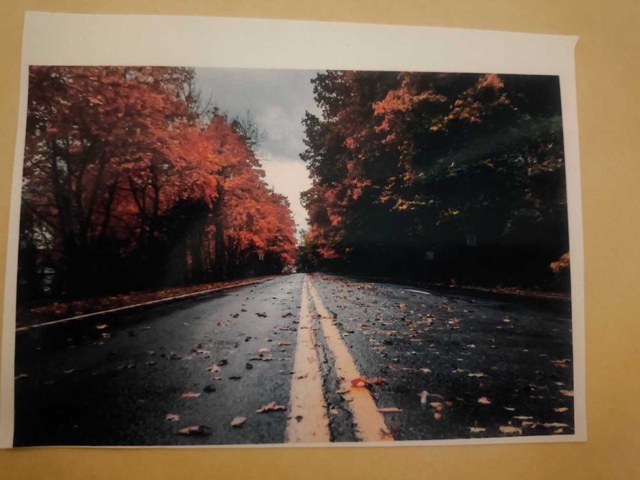 МФУ Epson Stylus TX409 с КПК