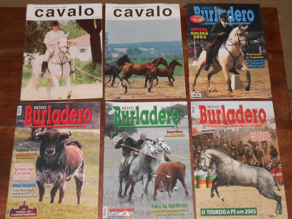 Conjunto revistas cavalos equitacao diversas 12 diferentes desocupar