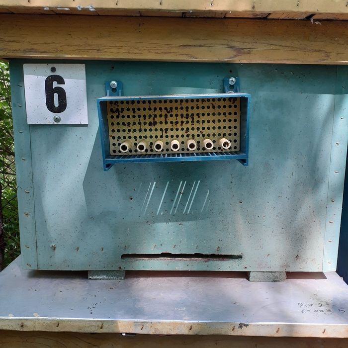 Продам вулики Дадан