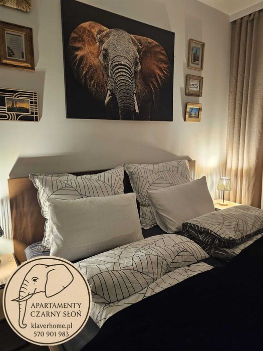 Apartament Premium 55 m² Balkon Klimatyzacja Parking Do 4 osób Częstochowa - noclegi Częstochowa