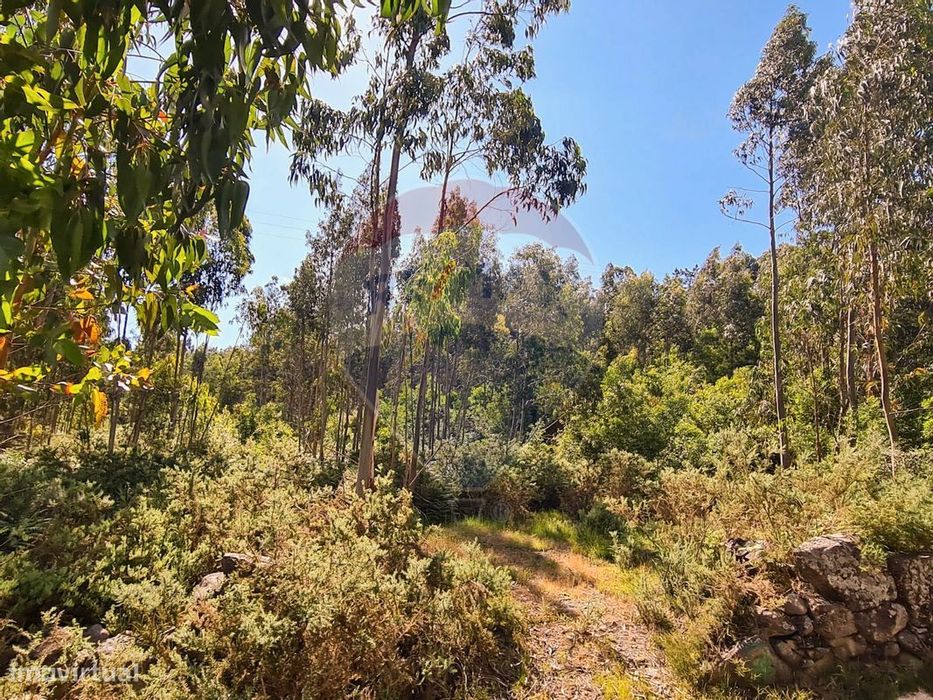 Terreno  para venda — Vila Boa do Bispo, Porto
