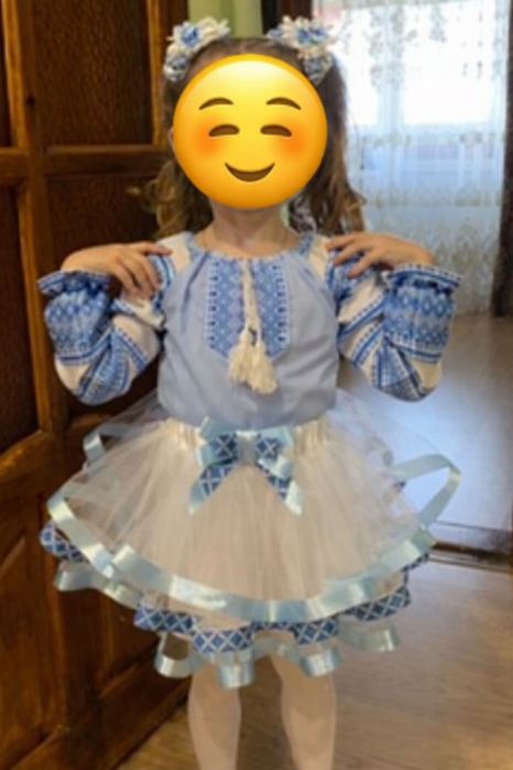 Вишиванка і спідниця