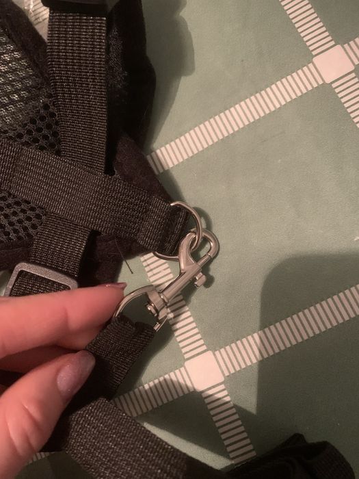 Новая шлейка с поводком для кота