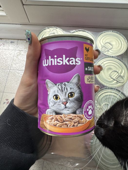 karma mokra dla kota whiskas