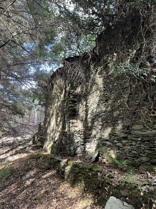 Quinta com 5hec - Serra da Lousã