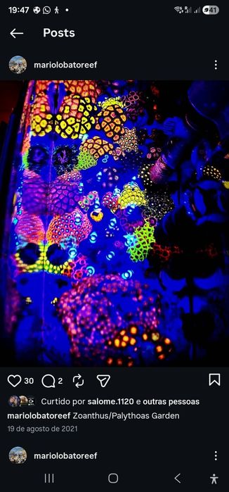 Luminária Power Tube marine blue da Oceantech 30w para aquário marinho