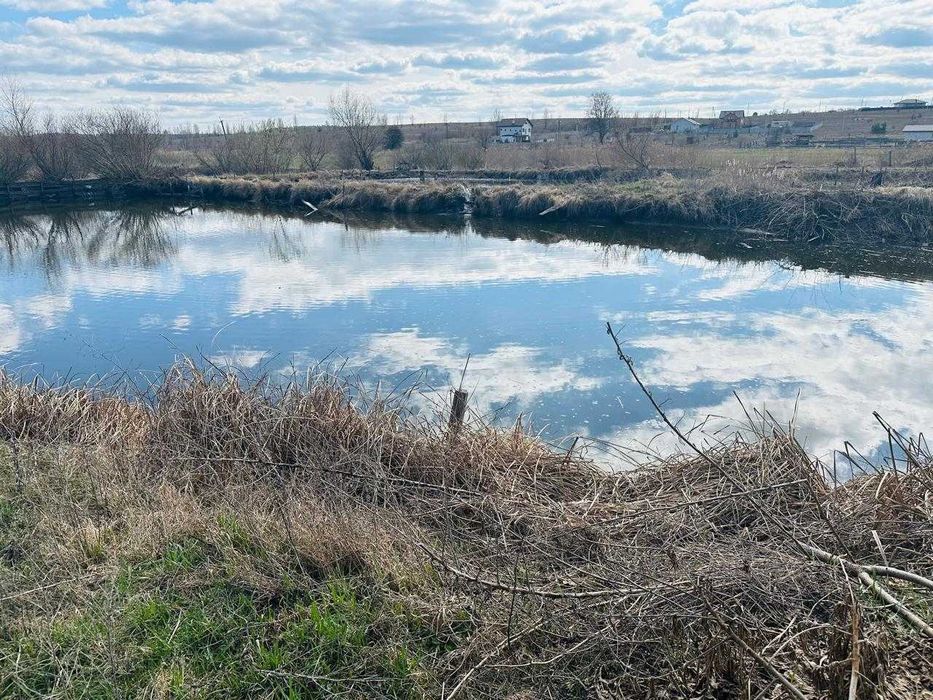 Оренда (можливий продаж) водойми для рибного господарства