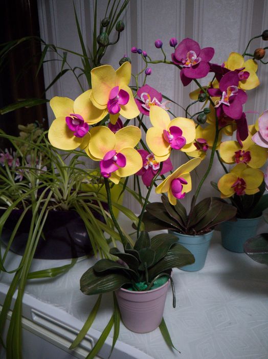 Орхідеї квіти для декору поларунок