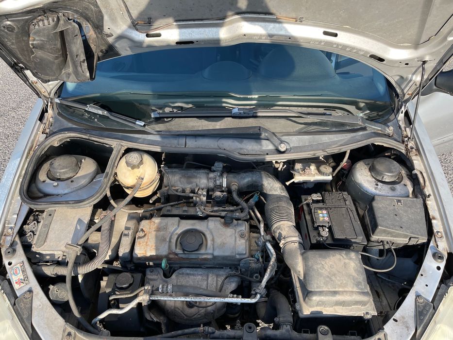 Peugeot 206 Gasolina