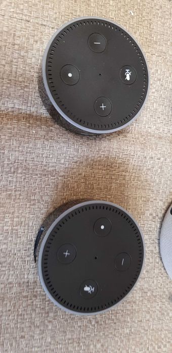 Колонки Amazon wifi