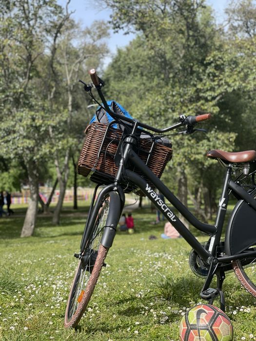 Bicicleta eletrica quadro M