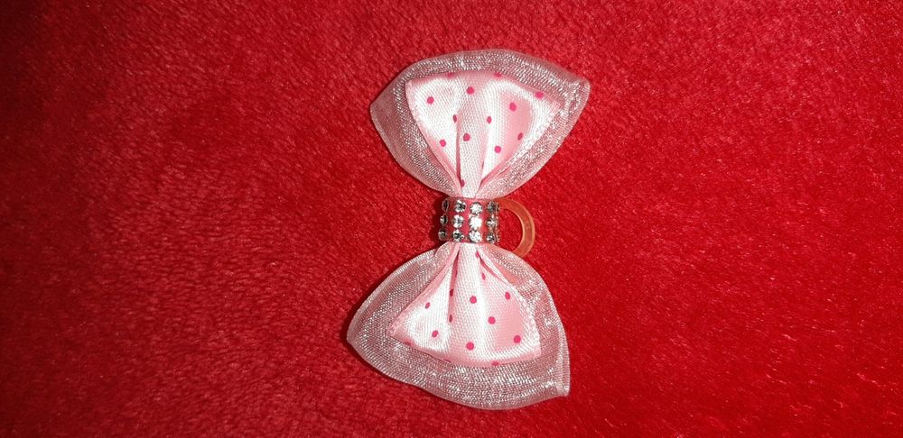 Gravatas e laços para pets.