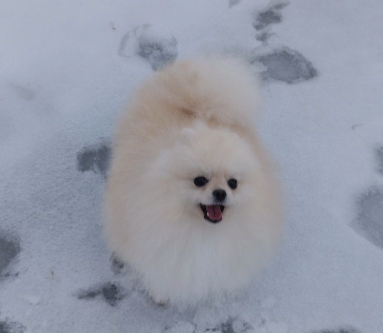 Хлопчик без недоліків