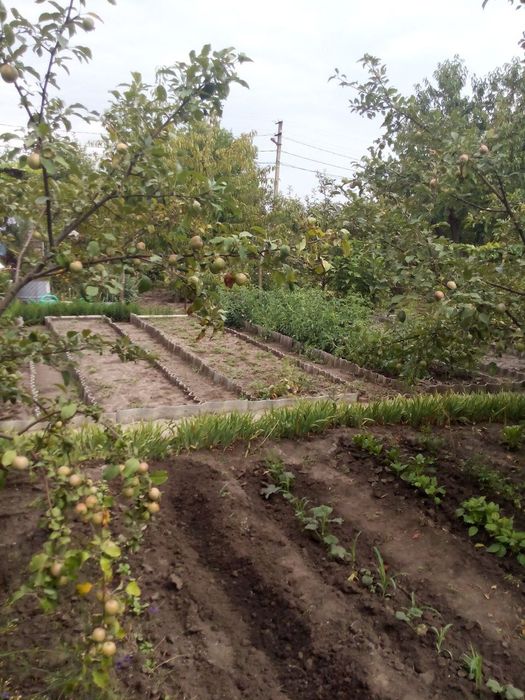 Дача Комунальник 10 соток