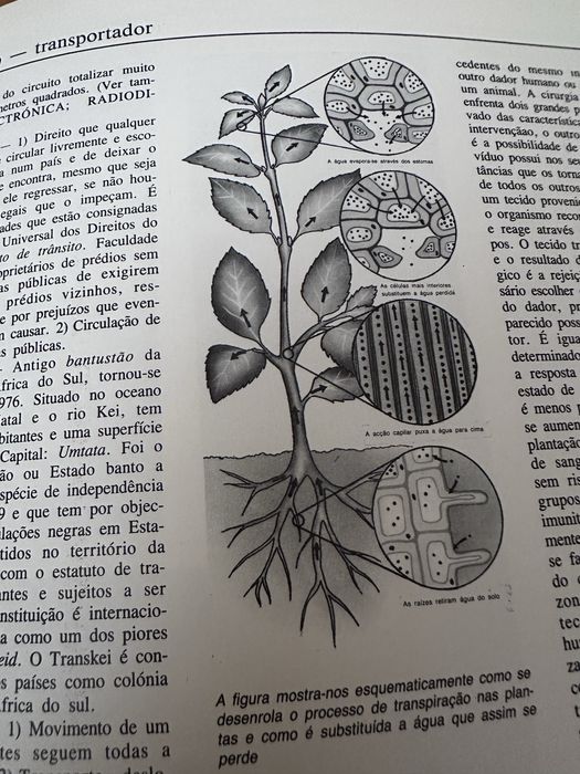 26 volumes - Nova Enciclopédia Portuguesa