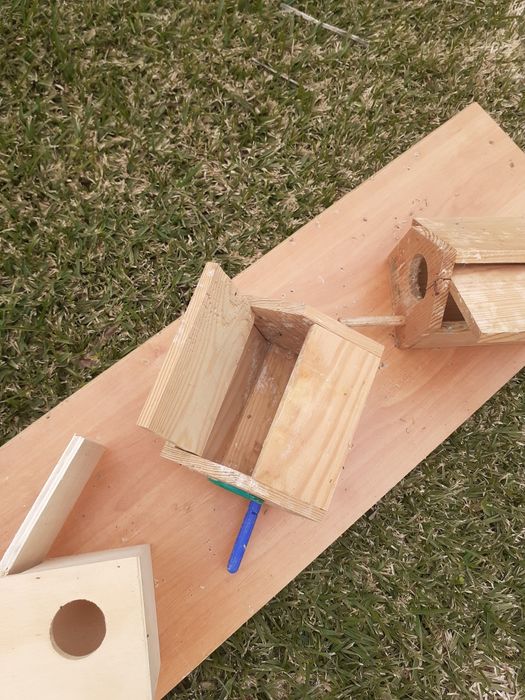 Ninhos para exóticos em bom estado