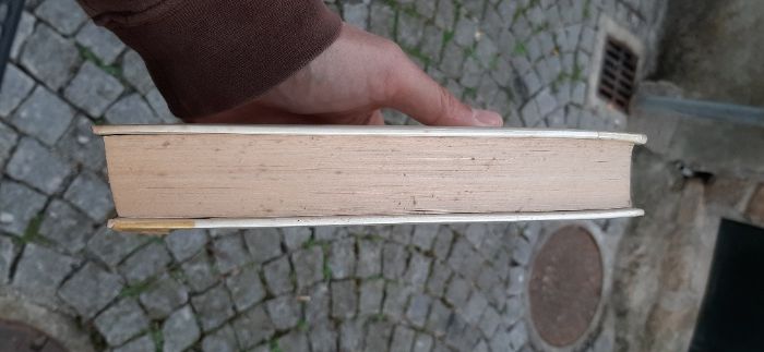 Camilo Castelo Branco