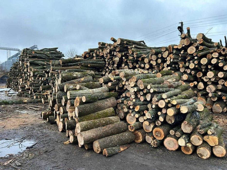 Складені дрова дуб граб ясен рубані та метрові