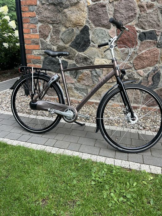 Rower Gazelle Chamonix