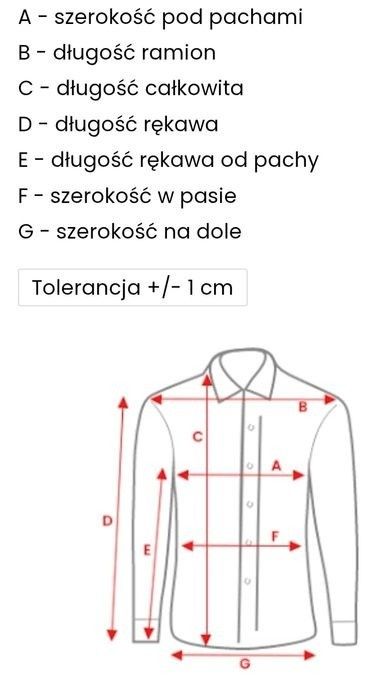 Koszula męska CARRY, rozmiar L, długi rękaw