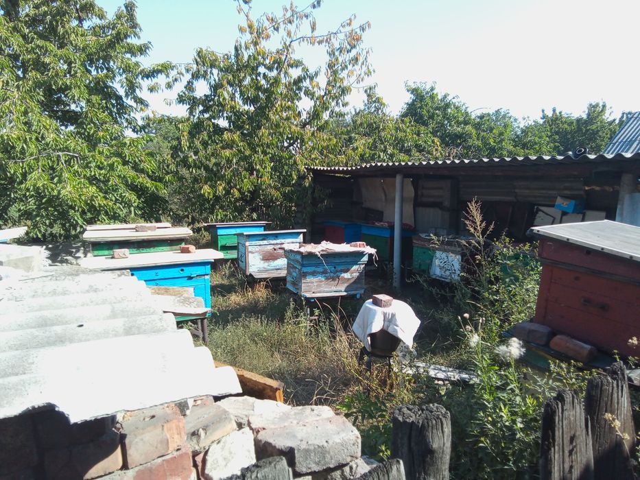 Продам улики срочно