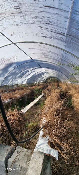 Estufas agrícolas com 4 túneis cada de 2020