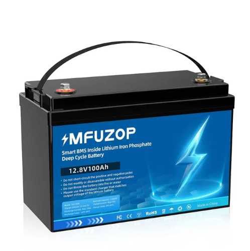 LiFePO4 батарея 12V 100Ah Аккумулятор Datouboss, BMS 1280Wh акумулятор