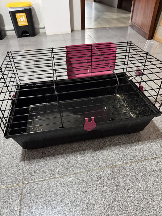 Casa de coelho e animais de pequeno porte