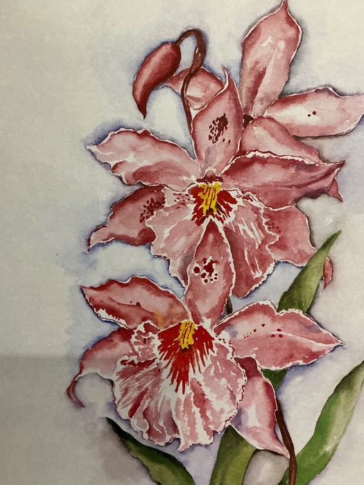 Pintura watercolor 46x34 cm. ANUCIOS anúncios abaixo