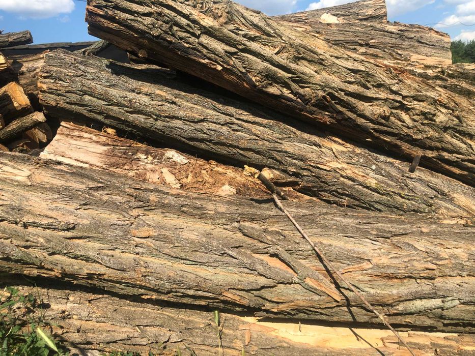 Дрова твердих порід. Доставка від 1 куба