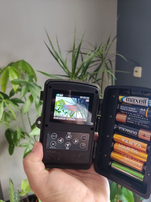 Foto pułapka kamera