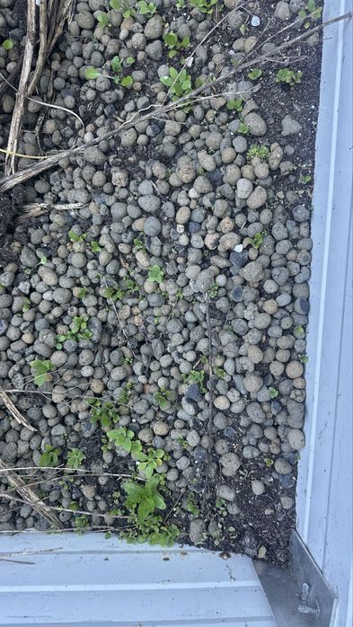 Pedras argila drenagem terra 20L