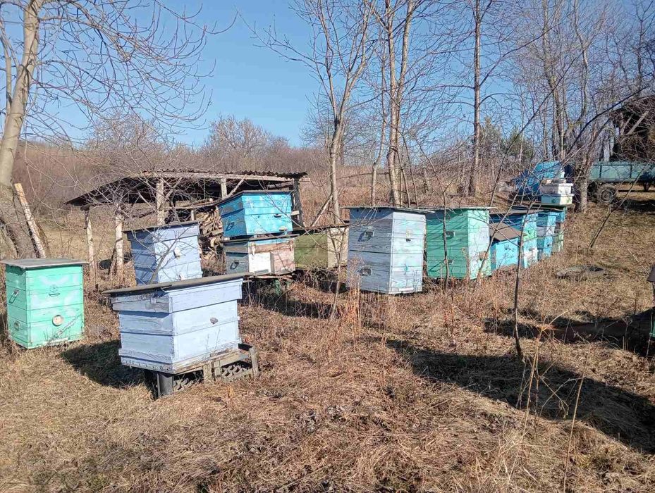 Продам вулики б/у