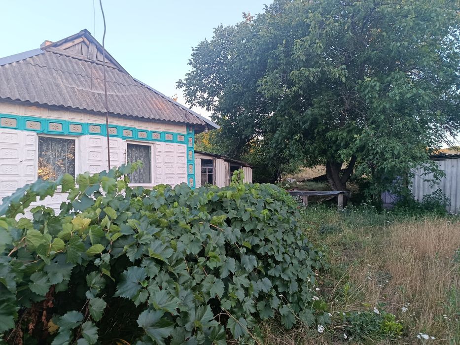 Дім в мальовничому селі
