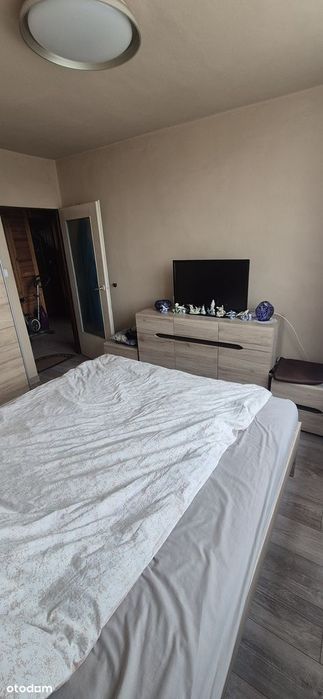 Wynajmę mieszkanie w centrum Zabrza.