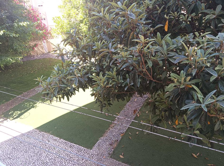 quarto para estudante em Alameda