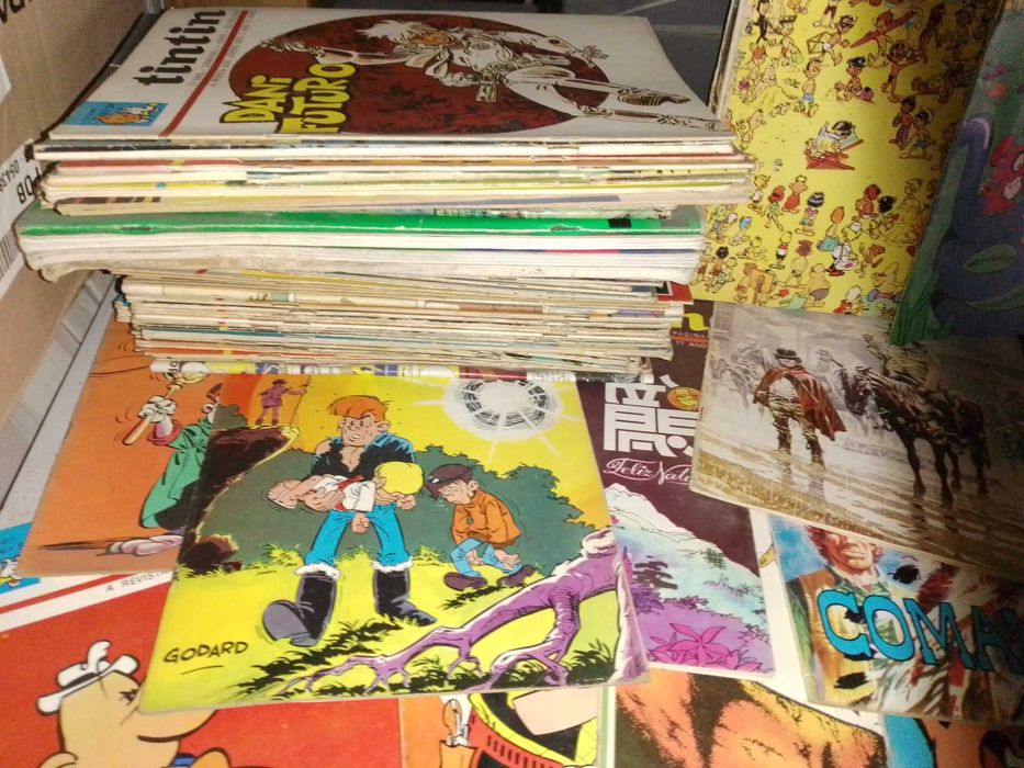 Revistas Tintim antigas.