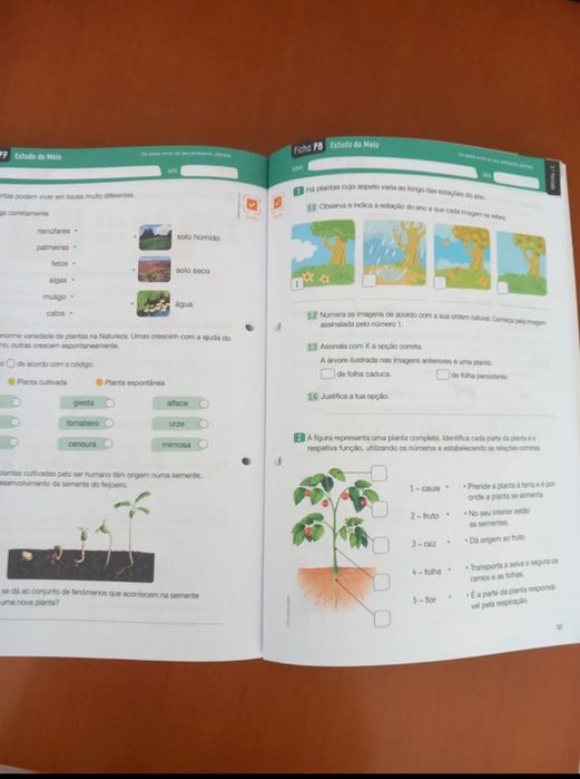 Livro de fichas de trabalho para 2⁰ ano