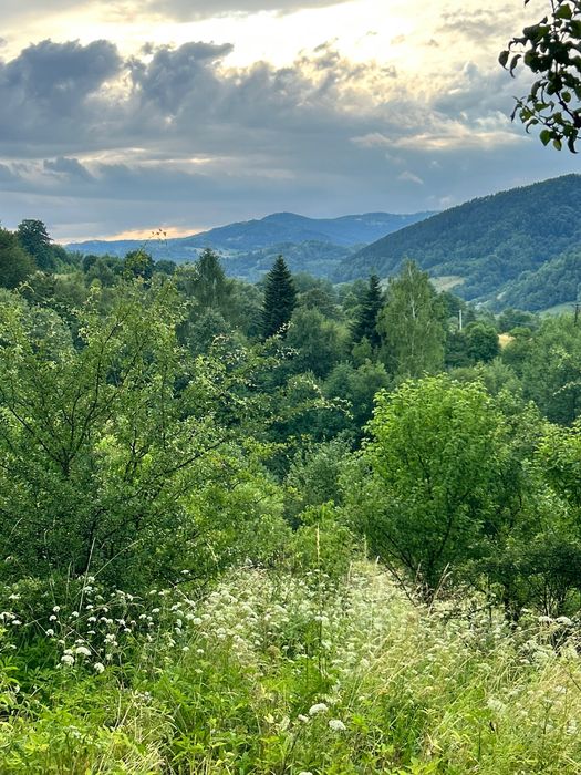 Domek z balią , Leśna Chata w Ochotnicy Dolne , Gorce !
