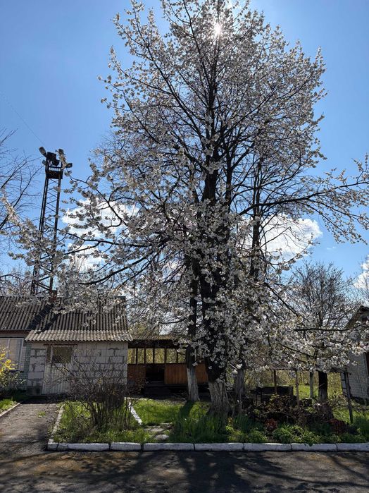 виробнича нерухомість оренда