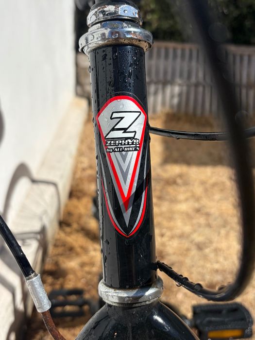 Bicicleta Italiana Zephyr de 8 velocidades  M